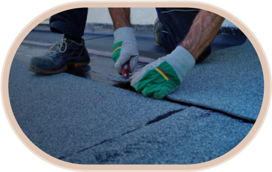 Roof Repair
