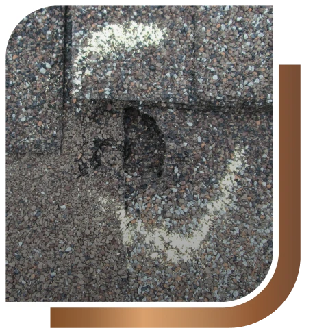 NJ ProTech Roofing